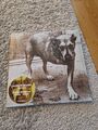 ALICE IN CHAINS  Alice In Chains  SAME  2 LP Green + POSTER - Release 2022 