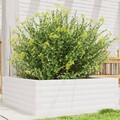 Pflanzkübel Blumenkübel Pflanzkasten Hochbeet Blumenkasten Massivholz vidaXL