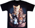 T-Shirt schwarzes Shirt beidseitig farbig bedruckt Katzen Kitten unisex S-XXL