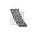 1x Keilrippenriemen FEBI BILSTEIN 28986 passend für AUDI BMW SEAT SKODA VW