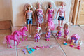 Konvolut 8 Puppen: Barbie, Steffi, Evi Love + Ponys, Hund, Katze, Zubehör