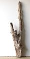 Treibholz Schwemmholz Driftwood 1 XXL   Wurzel Dekoration Terrarium 100 cm