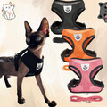 Katzengeschirr mit Leine Set Geschirr für Katzen Welpen Mesh Atmungsaktiv Sicher