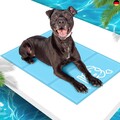 Pawtasy Kühlmatte für Hund, Kühldecke Hunde, Kühlkissen mit Ungiftiges Gel für G