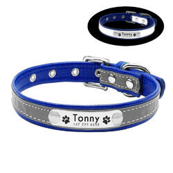 Personalisierte Hundehalsband Mit Name Gravur Reflektierendes für Chihuahua Rosa