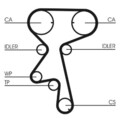 Wasserpumpe + Zahnriemen Satz für Opel 1996-2002 Continental Ctam Ct873Wp4