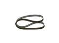 Keilrippenriemen Rippenriemen für Audi BMW Fiat Bosch 1987947842 1994 - 2007