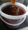 Waldhonig 7kg NEUE Ernte 2025 Hobbyimkerei*
