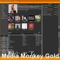 Media-Monkey Gold Windows 11 10 Musikbibliothek Manager Musiksammlung ordnen!