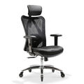 ELONEO ergonomischer Bürostuhl Schreibtischstuhl Drehstuhl Computerstuhl