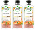 Herbal Volumen Shampoo Weiße Grapefruit & Mosa Minze, 3er Pack (3 x 250 ml)
