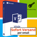 Produktschlüssel für Microsoft Visio 2019 Professional Key per E-Mail Download