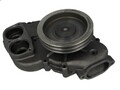Kühlmittelpumpe DOLZ M618 für MAN F90 11.967 1988-199