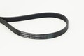 CONTINENTAL CTAM Keilrippenriemen 6PK1345 für AUDI CHRYSLER CITROËN DODGE FORD
