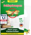 anwerk® Schlupfwespen gegen Kleidermotten 1 bis 25 Karten x 6 Lieferungen