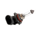 1x RIDEX Vision HB4 Glühlampe Fernlicht 12V 51W 3500K P22d P22d Halogen 106B0008