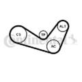 Original CONTINENTAL CTAM Keilrippenriemensatz 6PK1050K1 für Audi Seat Skoda VW