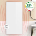 Infrarotheizung mit Thermostat 720W 120x60cm Heizpanel Wand Infrarot Heizung