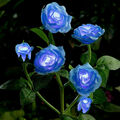 LED SOLAR POWER ROSE BLUME PFAHL LEUCHTEN AUSSEN GARTEN WEG LEUCHTE LAMPE DEKO