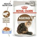 ROYAL CANIN AGEING 12+ in Gelee Nassfutter für ältere Katzen 12x85g