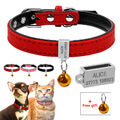 Personalisiert Katzenhalsband Hundehalsband Hundemarke mit Name für Kleine Hunde
