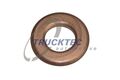 TRUCKTEC AUTOMOTIVE Wärmeschutzscheibe, Einspritzanlage 02.10.079 für