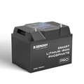 Renogy 12V 100Ah LiFePO4 Lithium SolarBatterie Bluetooth 60+BMS IP67 5000 Zyklen