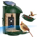 Vogelfutterspender mit 720P Kamera Vogelhaus Kamera mit Solar Vogelfutterstation