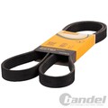 CONTI KEILRIPPENRIEMEN 7PK1093 passend für NISSAN MICRA TOYOTA DYNA HIACE HILUX