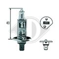 1x Glühlampe DIEDERICHS LID10012 passend für AEBI ALFA ROMEO AUDI BMW CITROËN