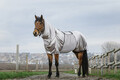 Exzemerdecke mit abschwitzender Wirkung Eksemerdecke Exemen Riding World grau