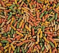 Tottori Premium 4 Farben Mix Sticks Fischfutter Teichsticks Teichfutter 5 kg