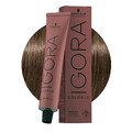Schwarzkopf Igora Color10 6-00 Extra Natürliches Dunkelblond 60 ml