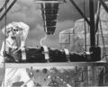 Young Frankenstein Film Foto Plakat Druck 61x50.8cm Stellar Bild 177761