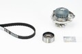 Continental Ctam Ct973Wp1 Wasserpumpe + Zahnriemen Satz für Fiat 1993 - 1999