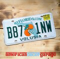 USA Nummernschild * US Kennzeichen * license plate * Florida sunshine State *