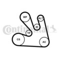 CONTINENTAL CTAM Keilrippenriemensatz 7PK1705K1 passend für NISSAN RENAULT