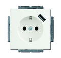 Busch-Jaeger 20 EUCBUSB-84 SCHUKO® USB-Steckdose, mit erh. ...