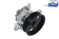 DT Spare Parts 4.66759 Servolenkung Pumpe Servopumpe
