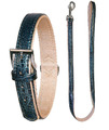 Kerbl Set Hundehalsband inkl. Leine 100 cm lang, miami blau Texas Art Kunstleder