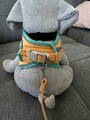 Katzen-oder Hundegeschirr mit Leine für Kleine Lieblinge - 4kg NEU