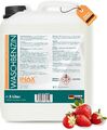 INOX® Waschbenzin 5L - Reinigungsbenzin Spezial Reiniger Benzin Entfetter
