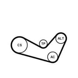 CONTINENTAL CTAM Keilrippenriemensatz 6PK1080K1 für SKODA VW SEAT AUDI