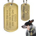 Personalisierte Hundemarke mit Namen Gravur Hunde Erkennungsmarke Adressanhänger
