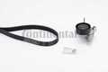 CONTINENTAL CTAM - 6PK1026K1 - Keilrippenriemensatz - KFZ-Teile