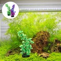  2 Pcs Wasserpflanzen Künstlich Aquarium Süßwasseraquariumpflanzen
