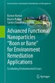 Advanced Functional Nanoparticles "Boon or Bane" for Environment Remediation A
