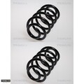 2x Fahrwerksfeder TRISCAN 87502396 2 Federn Satz Federnsatz für Mercedes-Benz