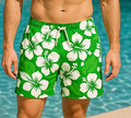 Badehose Bermuda Badeshorts Schwimmhose Shorts Herren Männer Schwimmshort 129