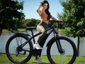 29 Zoll Elektrofahrrad 48V 15AH Trekking eBike 750W E-Mountainbike 25km/h E Bike